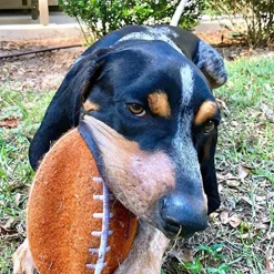 Nylabone Power Play Football Gripz Dog Toy