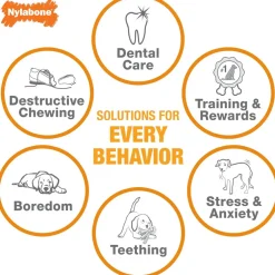 Nylabone Puppy Chew Freezer Teething Chill'n Chew Dog Toy, Peanut Butter Flavor, Small/Regular