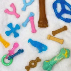 Nylabone Puppy Chew Freezer Teething Chill & Chew Dog Toy, Lamb & Apple Flavor, Small/Regular