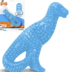 Nylabone Puppy Dental Dinosaur Chew Toy for Teething Puppies Chicken Flavor, Small/Regular