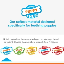 Nylabone Puppy Dental Dinosaur Chew Toy for Teething Puppies Chicken Flavor, Small/Regular