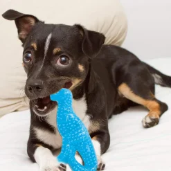 Nylabone Puppy Dental Dinosaur Chew Toy for Teething Puppies Chicken Flavor, Small/Regular