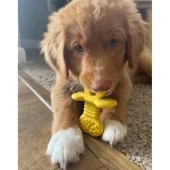 Nylabone Puppy Rubber Teether Vanilla Flavor, Small