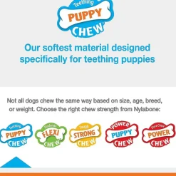 Nylabone Puppy Rubber Teether Vanilla Flavor, Small