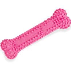 Nylabone Puppy Teething & Soothing Chew Toy Chicken Flavor
