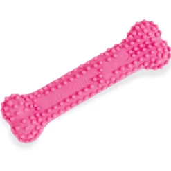 Nylabone Puppy Teething & Soothing Chew Toy Chicken Flavor