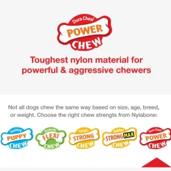 Nylabone Ring Dura Chew Power Chew Original Flavored Dog Toy, Large