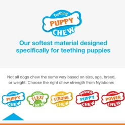 Nylabone Sensory Material Puppy Teething Ring Chicken Flavor, Small