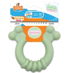 Nylabone Sensory Material Puppy Teething Ring Chicken Flavor, Small