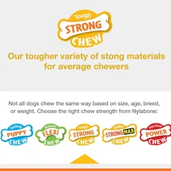 Nylabone Sneaky Snacker Bacon Flavor Dog Treat Toy, Orange