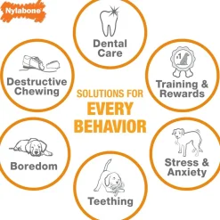 Nylabone Sneaky Snacker Bacon Flavor Dog Treat Toy, Orange