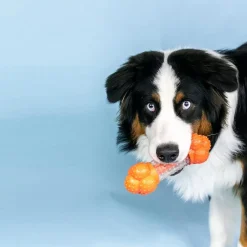 Nylabone Sneaky Snacker Bacon Flavor Dog Treat Toy, Orange