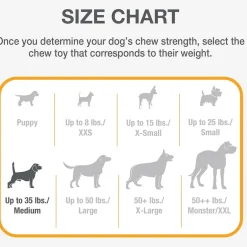 Nylabone Strong Rubber Allergen-Free Peanut Butter Flavor Tough Dog Treat Toy, Brown, Medium/Wolf