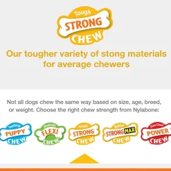 Nylabone Strong Rubber Allergen-Free Peanut Butter Flavor Tough Dog Treat Toy, Brown, Medium/Wolf