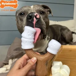 Nylabone Strong Toasted Marshmallow Stick & Peanut Butter Flavor Tough Dog Chew Toy, Large/Giant