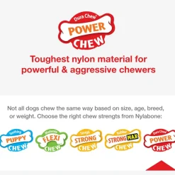 Nylabone Wishbone Dura Chew Power Chew Original Flavored Dog Toy