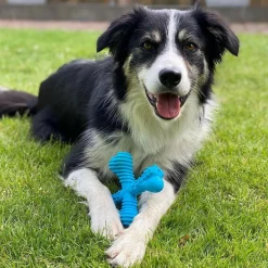 Nylabon Power Chew X Bone Chew Toy for Puppies, Beef Flavor