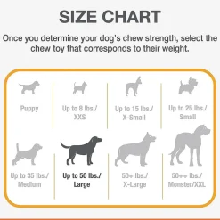Nylabon Power Chew X Bone Chew Toy for Puppies, Beef Flavor