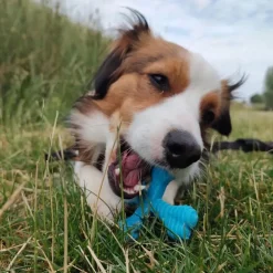 Nylabon Power Chew X Bone Chew Toy for Puppies, Beef Flavor