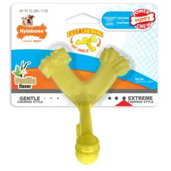 Nylabon Puppy Power Chew Axis Bone Nylon Chew Toy Vanilla Flavor, Small/Regular