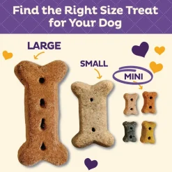 Old Mother Hubbard Chick' N' Apples Oven Baked Dog Biscuits Treats, 20-oz