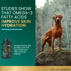 Omega Healthy Skin Capsule for Cats and Dogs