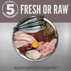 ORIJEN Fit & Trim Grain-Free High-Protein Premium Dry Cat Food