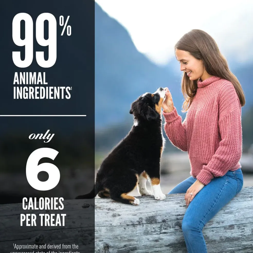 ORIJEN Grass Fed Lamb Grain-Free High-Protein Freeze Dried Dog Treats, 3.25-oz bag