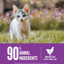 ORIJEN Kitten Grain-Free High-Protein Premium Dry Cat Food