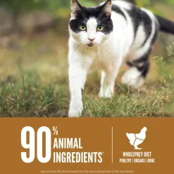 ORIJEN Original Grain-Free High-Protein Premium Dry Cat Food