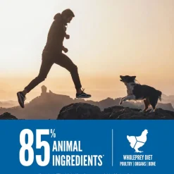 Orijen Original Recipe Dry Dog Food