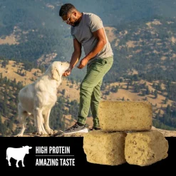 ORIJEN Ranch-Raised Beef Grain-Free High-Protein Freeze Dried Dog Treats, 3.25-oz bag