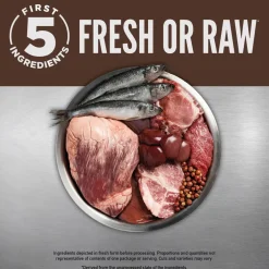 ORIJEN Regional Red Grain-Free High-Protein Premium Dry Cat Food