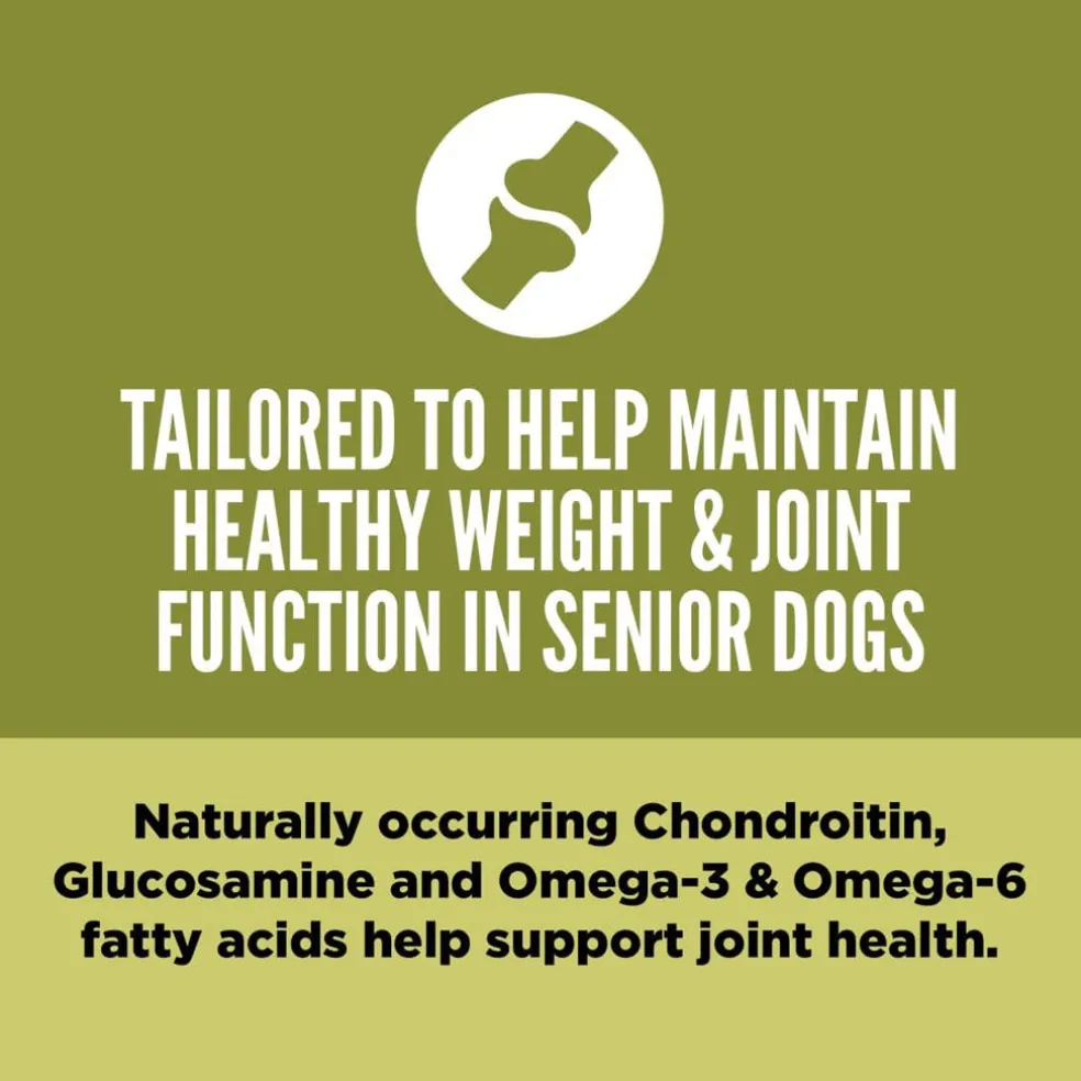ORIJEN Senior Grain-Free High-Protein Dry Dog Food