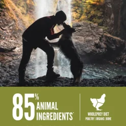 ORIJEN Senior Grain-Free High-Protein Dry Dog Food
