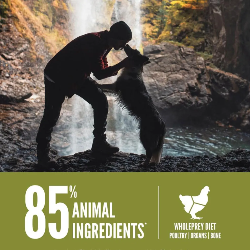 ORIJEN Senior Grain-Free High-Protein Dry Dog Food