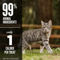 ORIJEN Six Fish Grain-Free High-Protein Raw Animal Ingredients Freeze Dried Cat Treats, 1.25-oz bag