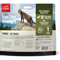 ORIJEN Tundra Grain-Free High-Protein Raw Animal Ingredients Freeze Dried Cat Treats, 1.25-oz bag