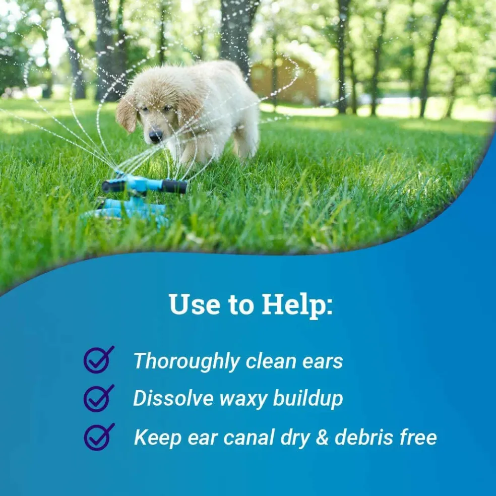 OtiRinse Ear Cleansing/Drying Solution for Dogs & Cats (8 oz)