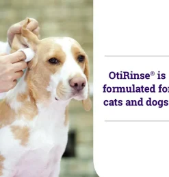 OtiRinse Ear Cleansing/Drying Solution for Dogs & Cats (8 oz)