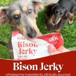 OTIS Wild Things Bison Jerky Treats for Dogs (4 oz)