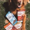OTIS Wild Things Bison Trainers Bite-Sized Treats for Dogs (4 oz)