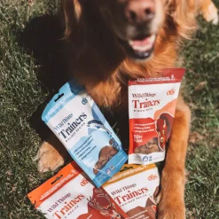 OTIS Wild Things Bison Trainers Bite-Sized Treats for Dogs (4 oz)