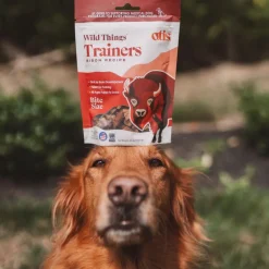 OTIS Wild Things Bison Trainers Bite-Sized Treats for Dogs (4 oz)