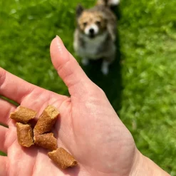 OTIS Wild Things Elk Trainers Bite-Sized Treats for Dogs (4 oz)