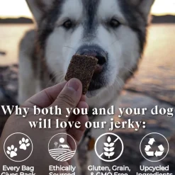 OTIS Wild Things Salmon Jerky Treats for Dogs (4 oz)