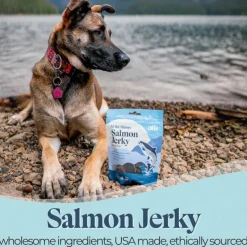 OTIS Wild Things Salmon Jerky Treats for Dogs (4 oz)