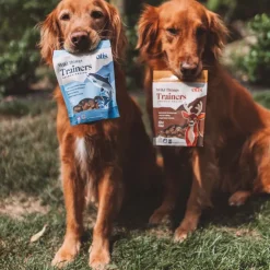 OTIS Wild Things Salmon Trainers Bite-Sized Treats for Dogs (4 oz)