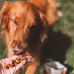 OTIS Wild Things Salmon Trainers Bite-Sized Treats for Dogs (4 oz)