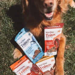 OTIS Wild Things Salmon Trainers Bite-Sized Treats for Dogs (4 oz)